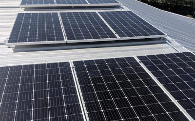 A Guide to Rooftop Solar Panels and Ground Mount Systems